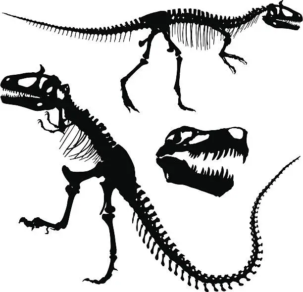 Vector illustration of Tyrannosaurus Rex