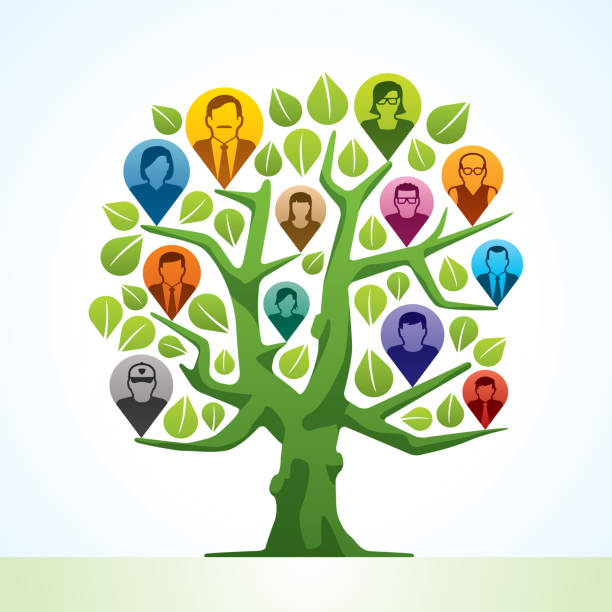 Family tree Vector illustration of a business network tree. Download includes:  family trees stock illustrations