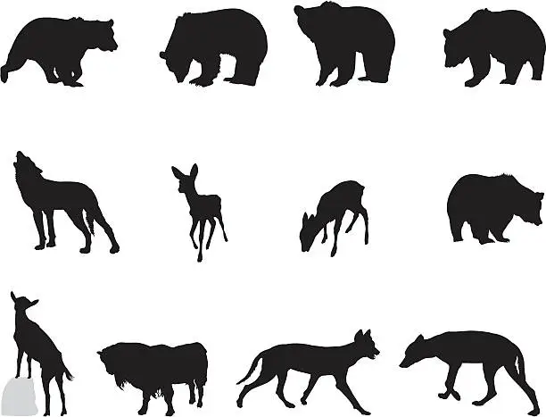 Vector illustration of Wildlife