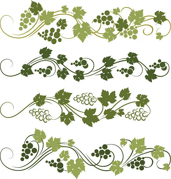 Vector illustration of Grape ornament