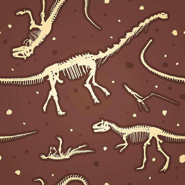 illustrazioni stock, clip art, cartoni animati e icone di tendenza di seamless primitivo scheletri di dinosauro - paleontologo