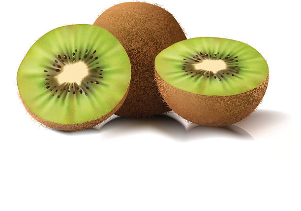 ilustrações, clipart, desenhos animados e ícones de kiwi-ilustração vetorial - fruta kiwi