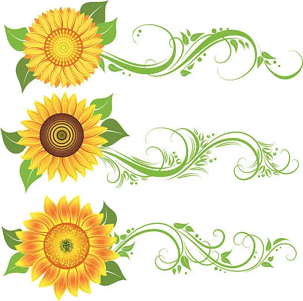 Vector illustration of Sunflower ornament