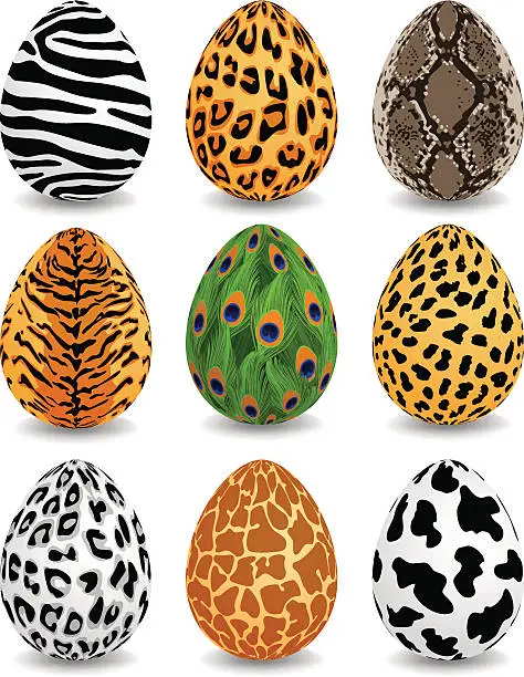 Vector illustration of Animal patterns easter eggs set
