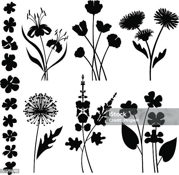 양식화된 정원 꽃 민들레에 대한 스톡 벡터 아트 및 기타 이미지 - 민들레, 꽃-식물, 실루엣