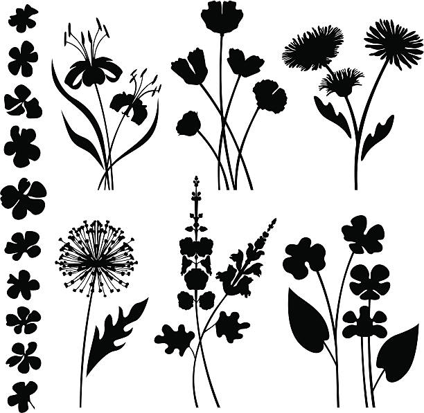 Stylized garden flowers Variable garden flowers and flower heads. silhouette of the tiger lily flower stock illustrations