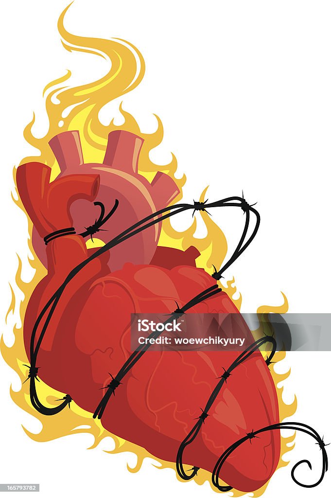 Сердце в огонь - Векторная графика Анатомия роялти-фри