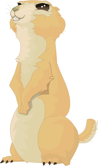 vector cartoon illustration of a prairie dog. Ai EPS8 format