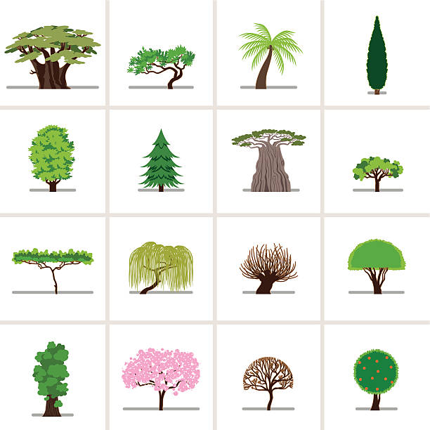 illustrazioni stock, clip art, cartoni animati e icone di tendenza di impostare fumetto di alberi - chestnut tree leaf tree white background