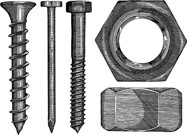 Screws and Nuts Screws and Nuts, very detailed ink drawing - vector illustration nail work tool stock illustrations