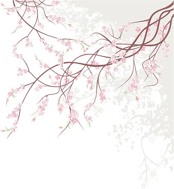 Vector illustration of Cherry Blossom Branch