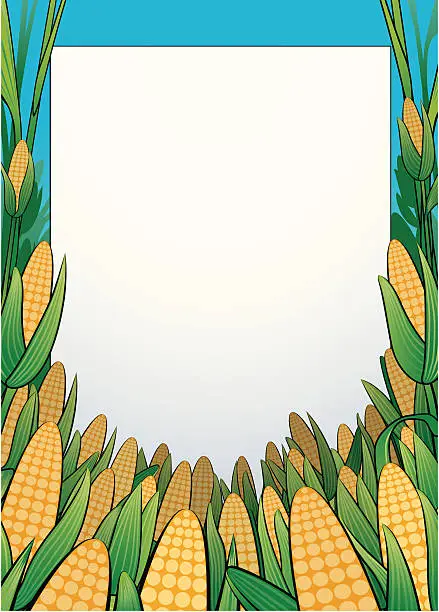 Vector illustration of Cornfield Banner