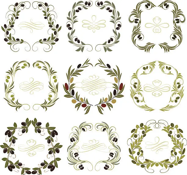 Vector illustration of olive frames