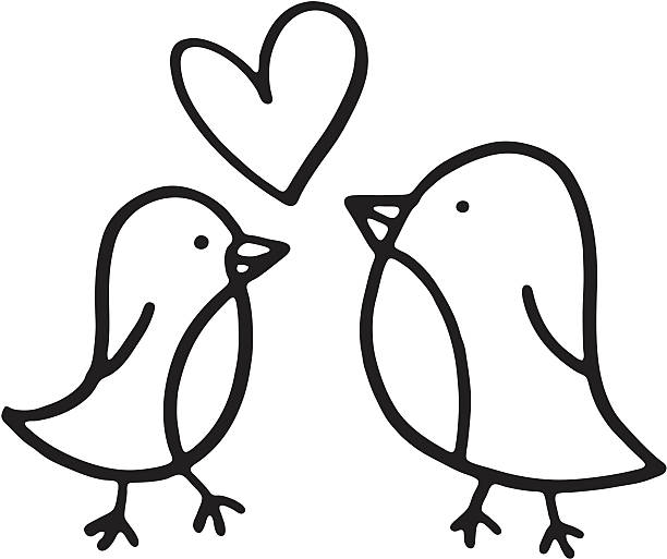 Two birds sketch with a love heart vector art illustration