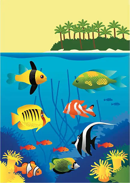 Vector illustration of Tropical Fish