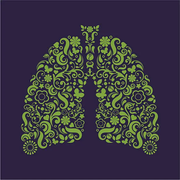Vector illustration of Lungs.