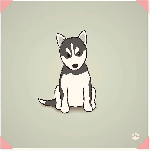 Vector illustration of Siberian Husky Puppy