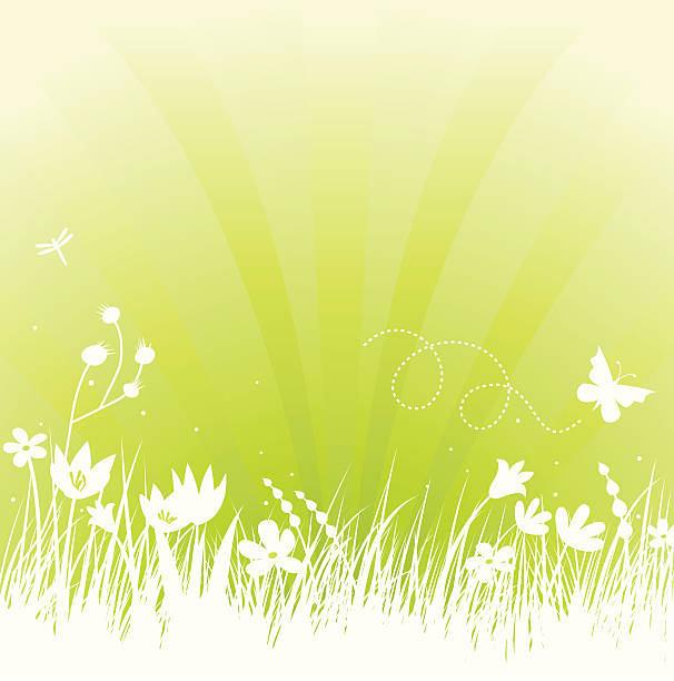 연두빛 녹색 - daffodil spring backgrounds sky stock illustrations