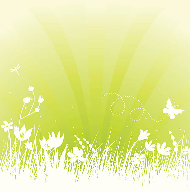 wiosna na zielony - daffodil spring backgrounds sky stock illustrations