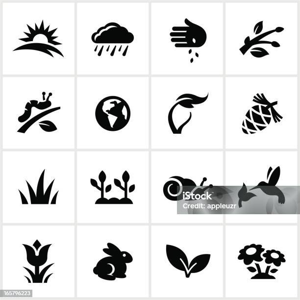 Black Springtime Icons Stock Illustration - Download Image Now - Icon Symbol, Caterpillar, Hummingbird