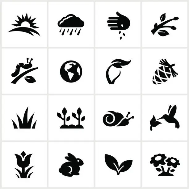 Vector illustration of Black Springtime Icons