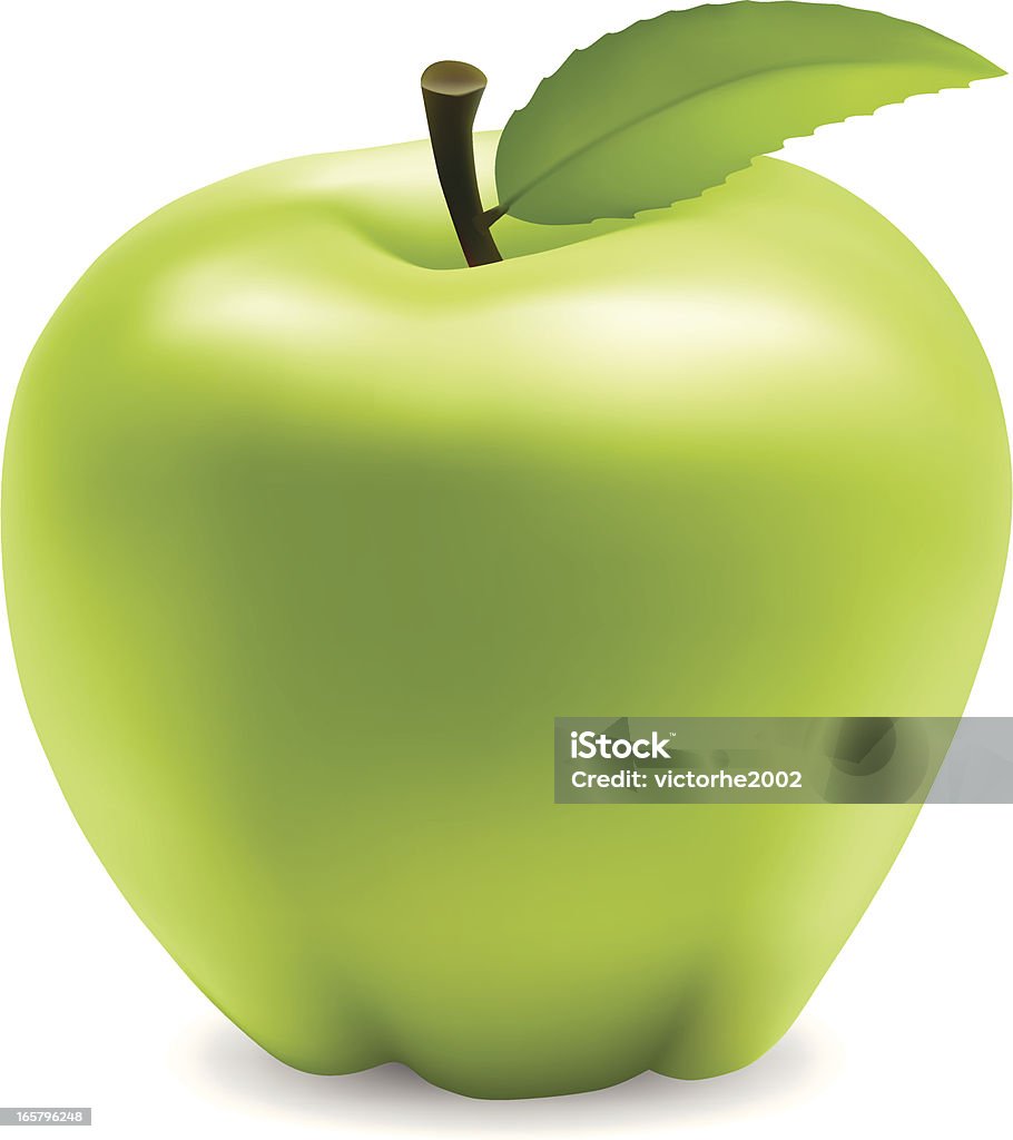 Grüner Apfel - Lizenzfrei Apfel Vektorgrafik