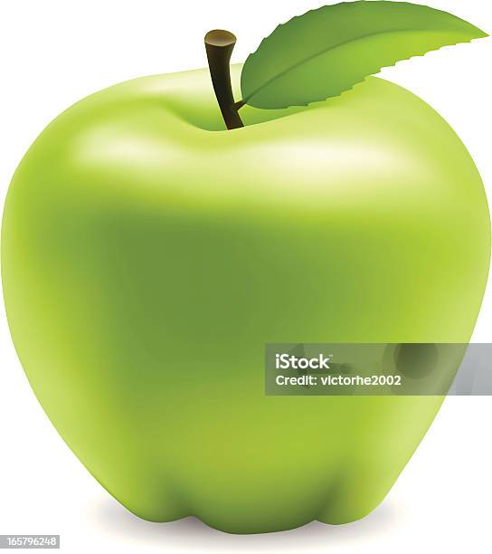 Grüner Apfel Stock Vektor Art und mehr Bilder von Apfel - Apfel, Audiozubehör, ClipArt