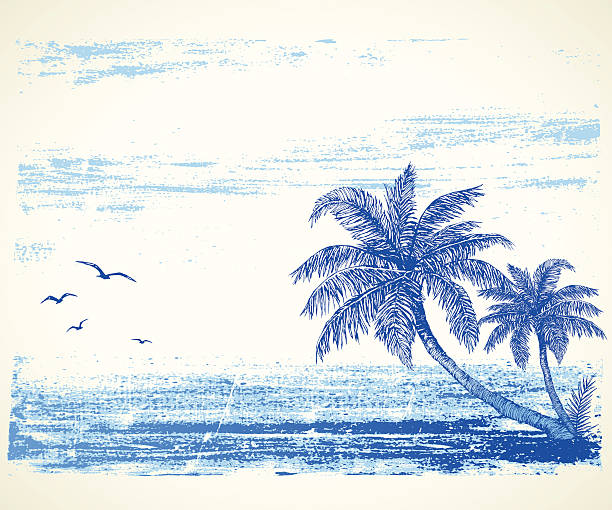 illustrazioni stock, clip art, cartoni animati e icone di tendenza di spiaggia tropicale di disegno - beach tropical climate island palm tree