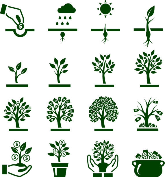 illustrazioni stock, clip art, cartoni animati e icone di tendenza di verde scuro vettoriale icone di soldi crescere sugli alberi - root growth dirt seed