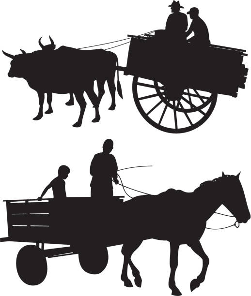 illustrazioni stock, clip art, cartoni animati e icone di tendenza di cavalli con carrello & ox - ox cart