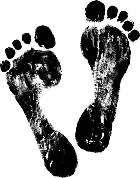 footprint track of vector black footprint. footprints stock illustrations