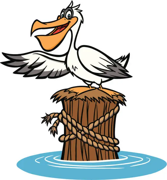 Vector illustration of Pelican