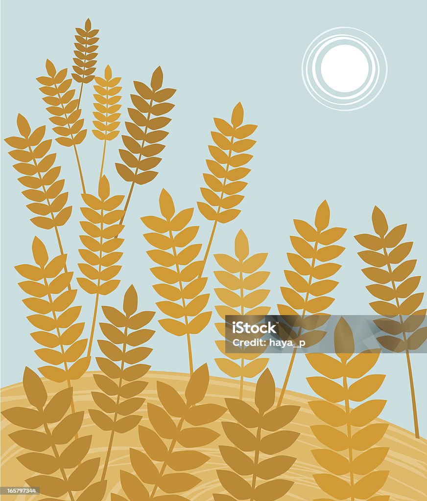 Ohren der Weizen auf Ernte Zeit - Lizenzfrei Feld Vektorgrafik