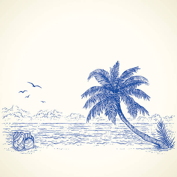 Tropical Beach Drawing vector art illustration