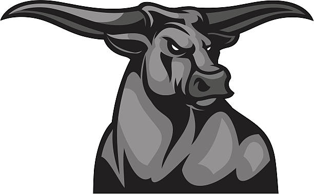 Bull Mascot Head This Bull Mascot is great for any school or sport based design. texas longhorns stock illustrations