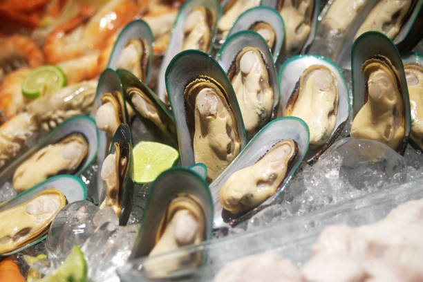 fresh mussels on buffet line stock photo