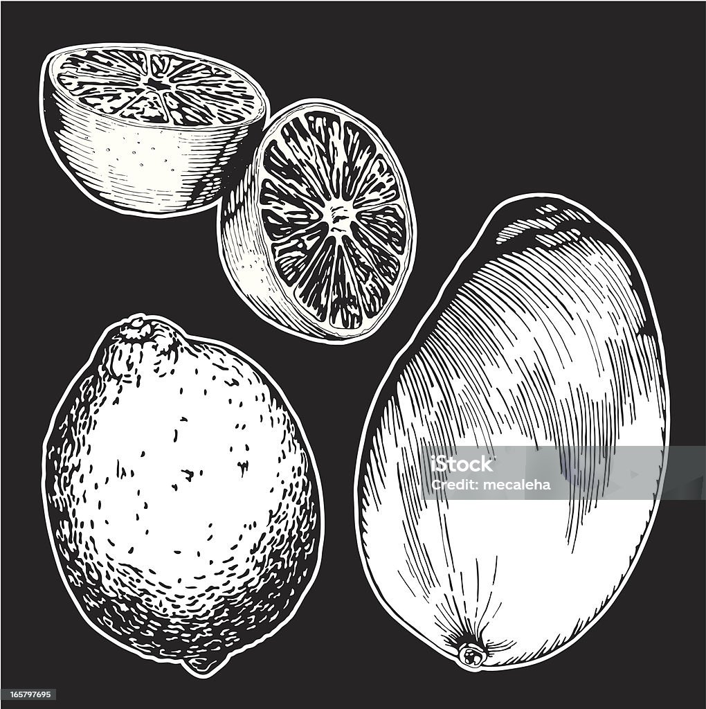 Frutas, dibujo de tinta - arte vectorial de Fruta libre de derechos
