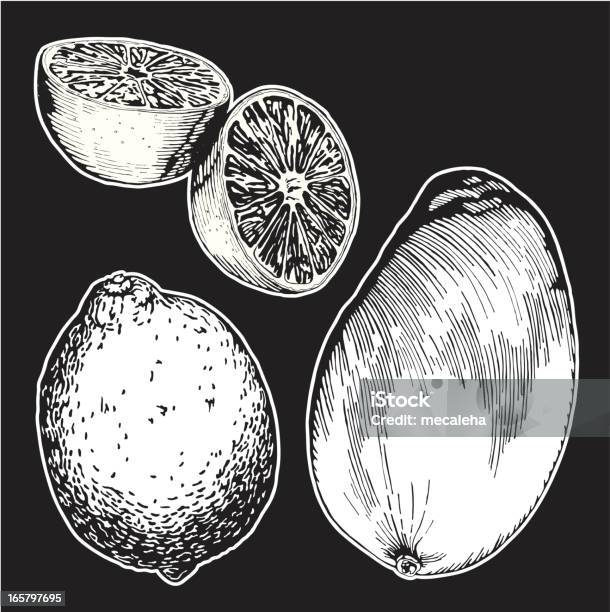 Ilustración de Frutas Dibujo De Tinta y más Vectores Libres de Derechos de Fruta - Fruta, Limón, Blanco y negro