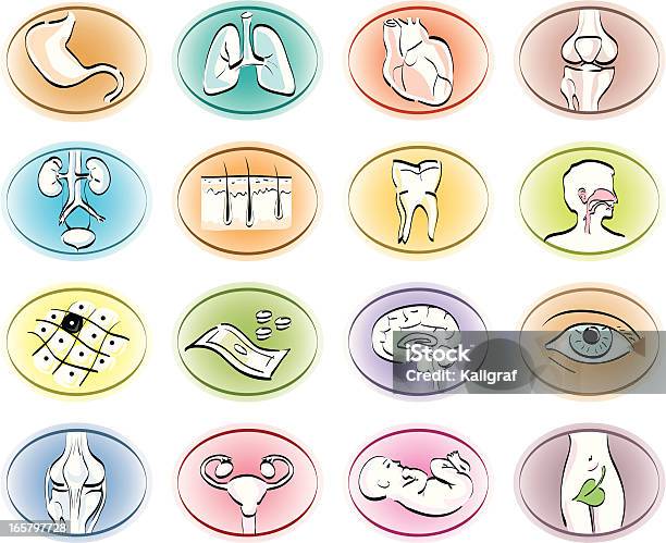 Medical Icônes Vecteurs libres de droits et plus d'images vectorielles de Icône - Icône, Système urinaire, Cancer