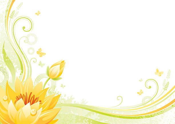 kwiatów tle z copyspace: lotosowy nenufar - water lily single flower flower water stock illustrations