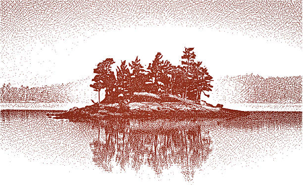 ilustrações de stock, clip art, desenhos animados e ícones de reserva ecológica de ilha no lago - boundary waters canoe area