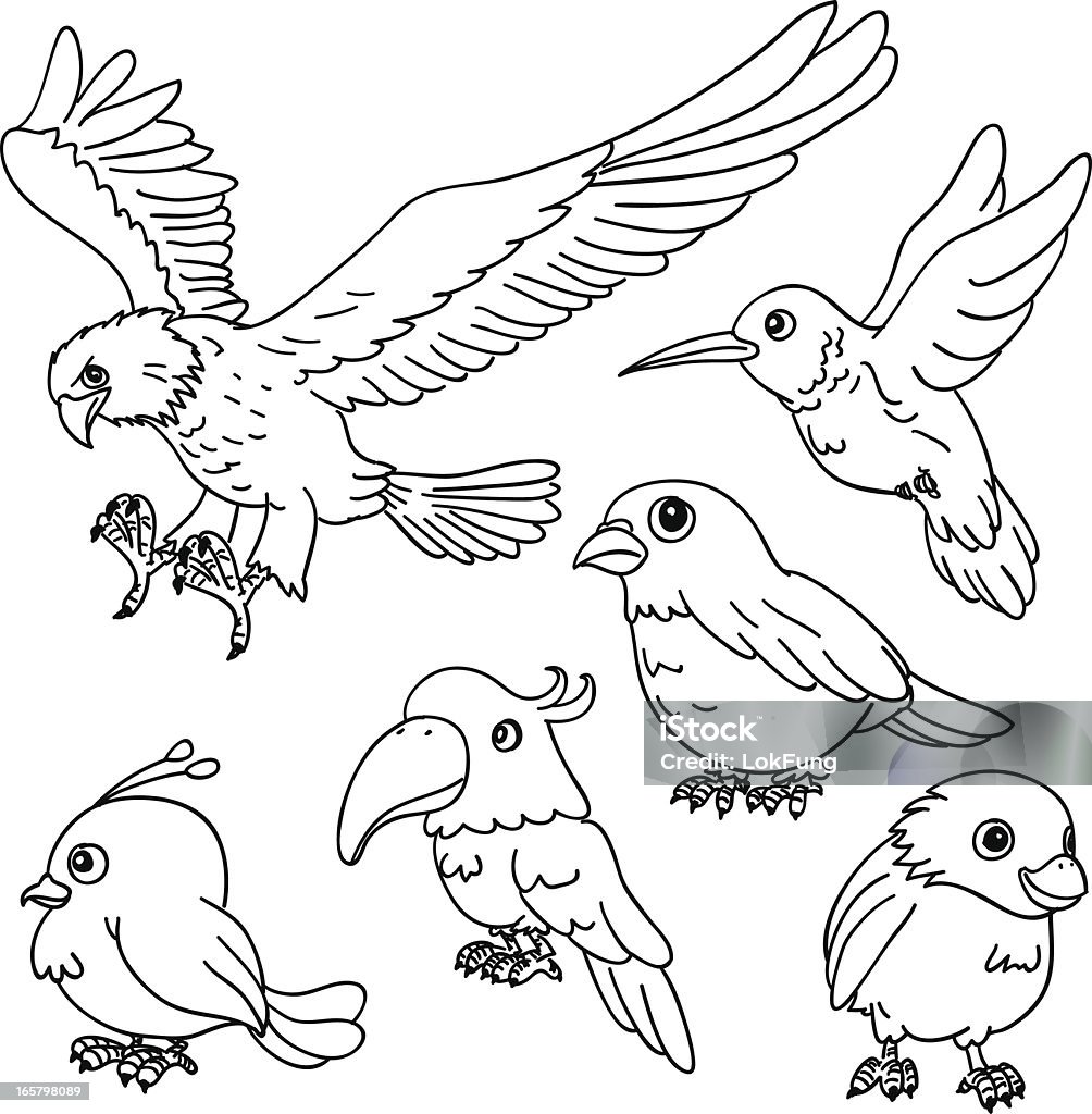Cartoon Birds In Black And White Stock Illustration - Download Image Now -  Falcon - Bird, Outline, Sketch - iStock