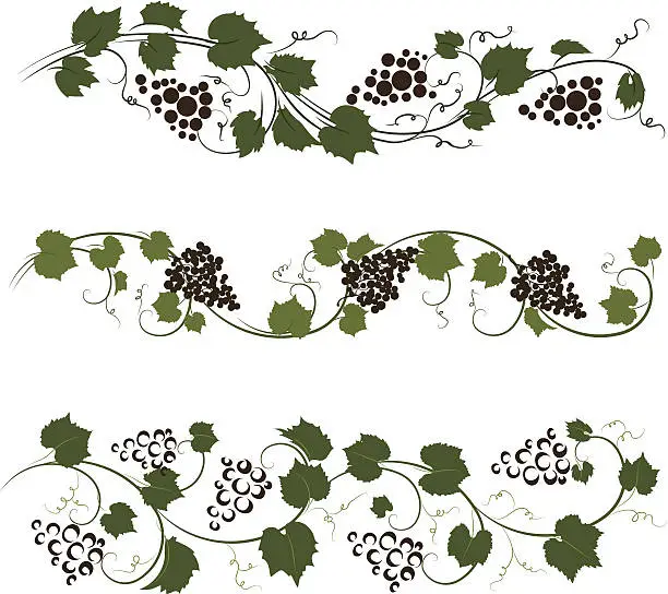 Vector illustration of Grape ornaments