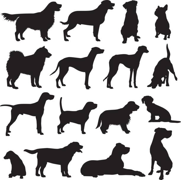 собака порождает силуэт набор - dachshund dog small black stock illustrations