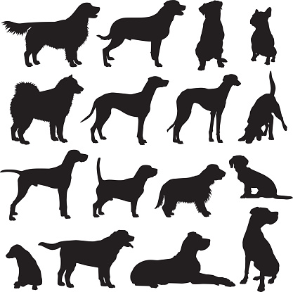 Set of vector dog silhouettes of different breeds:
