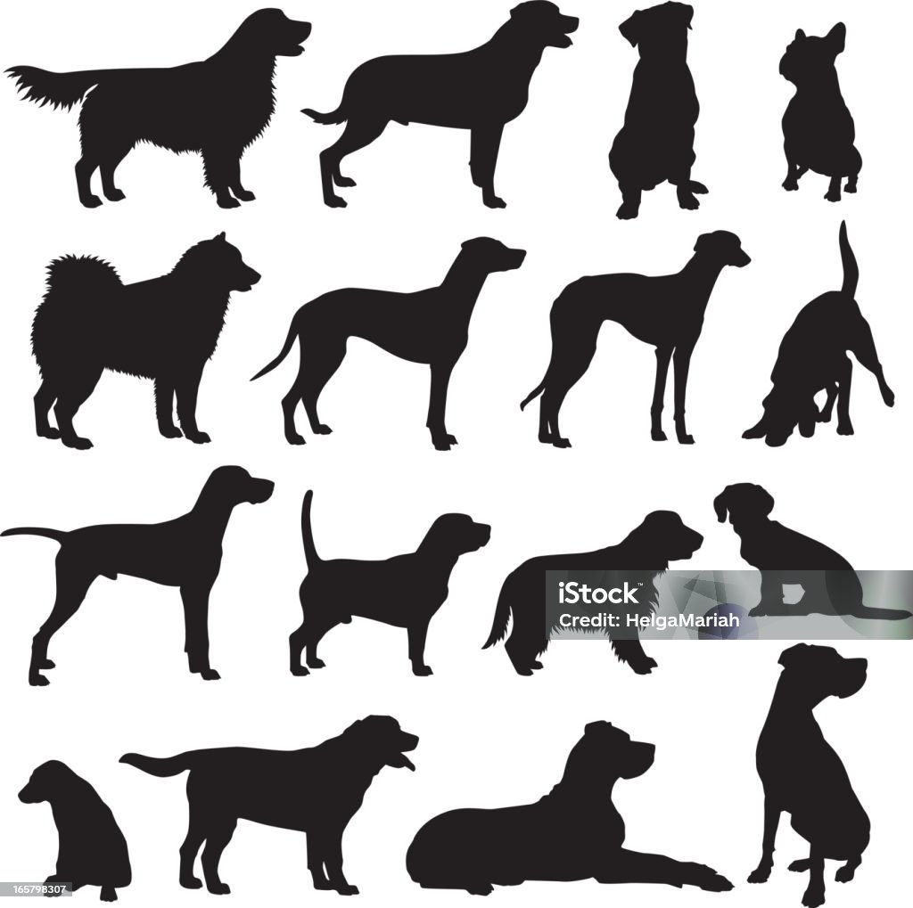 Dog Breeds Silhouette Set Set of vector dog silhouettes of different breeds: Dog stock vector