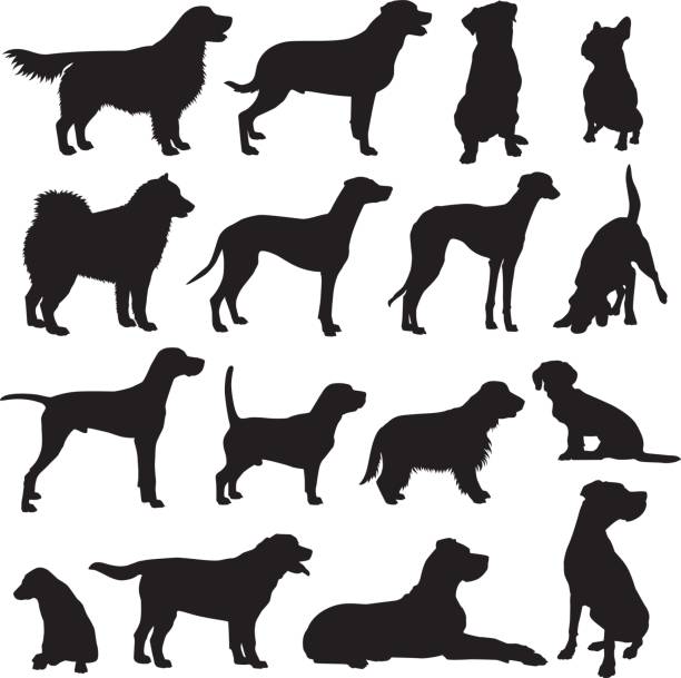 Dog Breeds Silhouette Set Set of vector dog silhouettes of different breeds: dog sitting stock illustrations