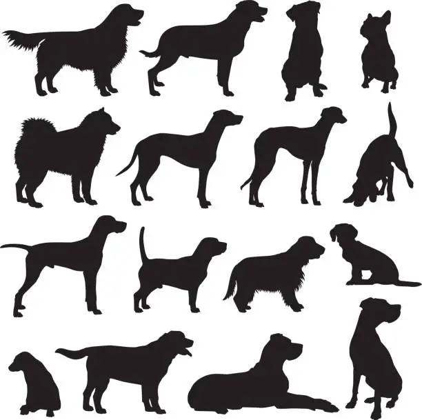 Vector illustration of Dog Breeds Silhouette Set