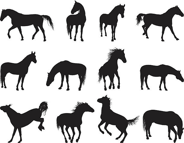 馬 - horse silhouette点のイラスト素材／クリップアート素材／マンガ素材／アイコン素材