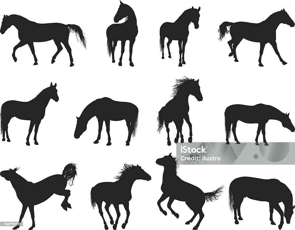 Лошадь - Векторная графика Лошадь роялти-фри